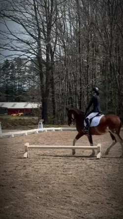 EQUESTRIAN SLOWMO❤️