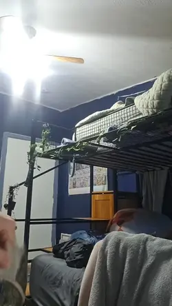 new dragon