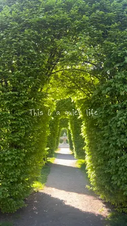 A quiet life 📖⛲️🪴⛲️