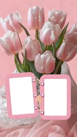 Tulipanes