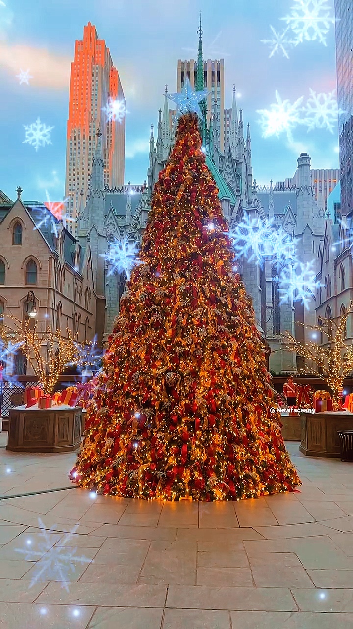 Natal 