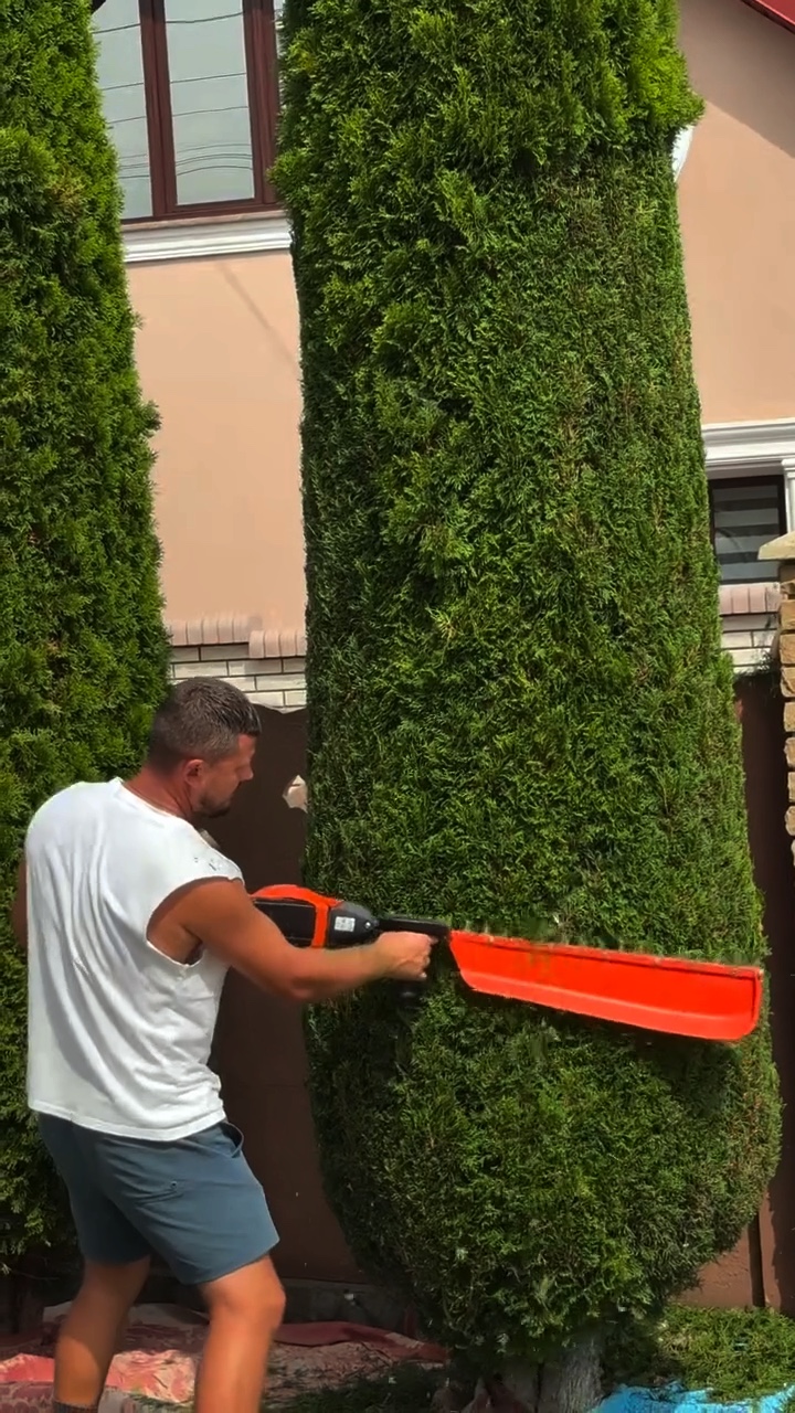 Jardinagem