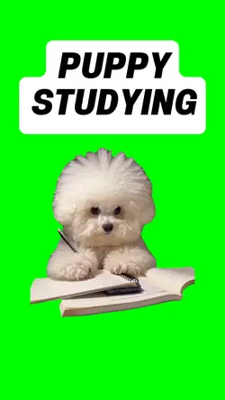 PUPPY STUDYING