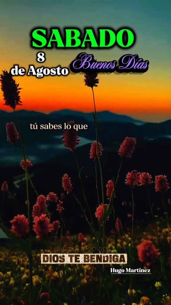SABADO 8 AGOSTO 