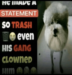 boi