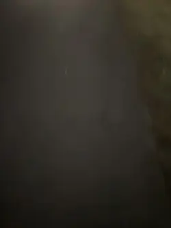 Hate will be deleted