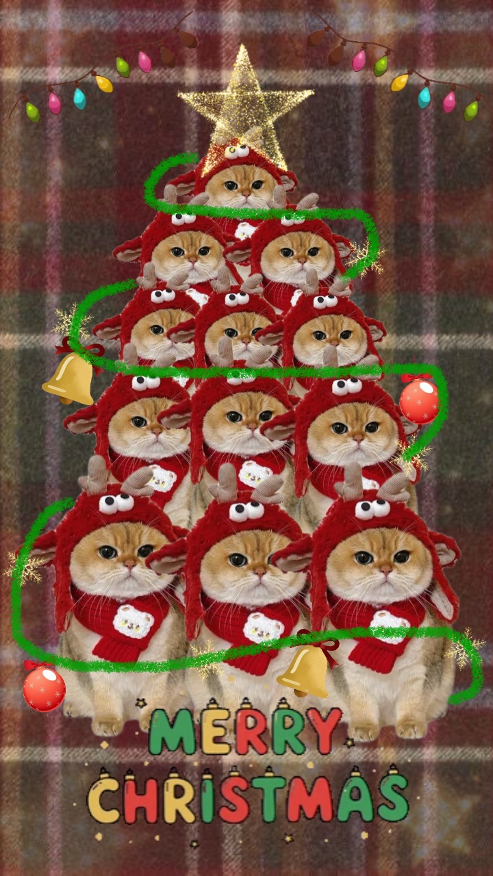 Animal de estimação fofo 🎄