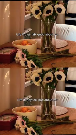 Life if they …….