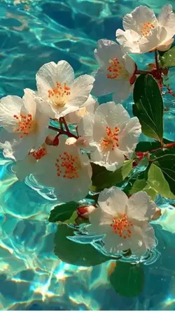 3D wallpaper 