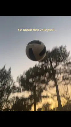 volleyball 