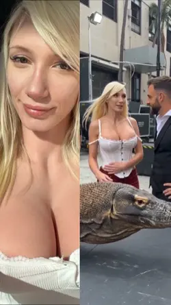 pet a komodo dragon