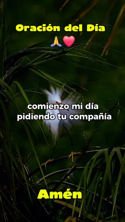 Buenos días Dios