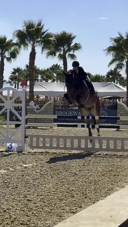 Woah. (Horse slomo)🌴