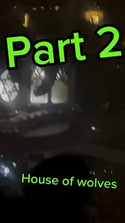 Bmth concert P2
