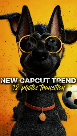 18synced transaction