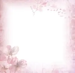 Pink core<3