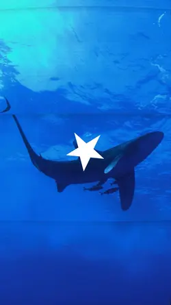 Spinning star