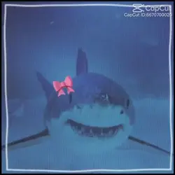SHARKS