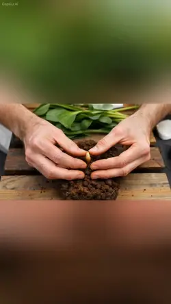 Faith Driven Success