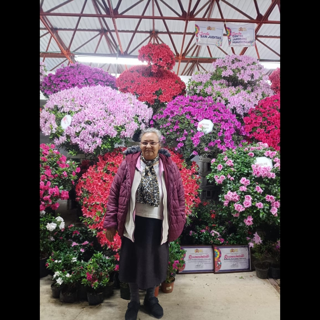 Te quiero mamá