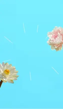 #Christian✝️#jesus!🥥