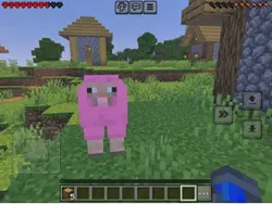 Rare Minecraft anima