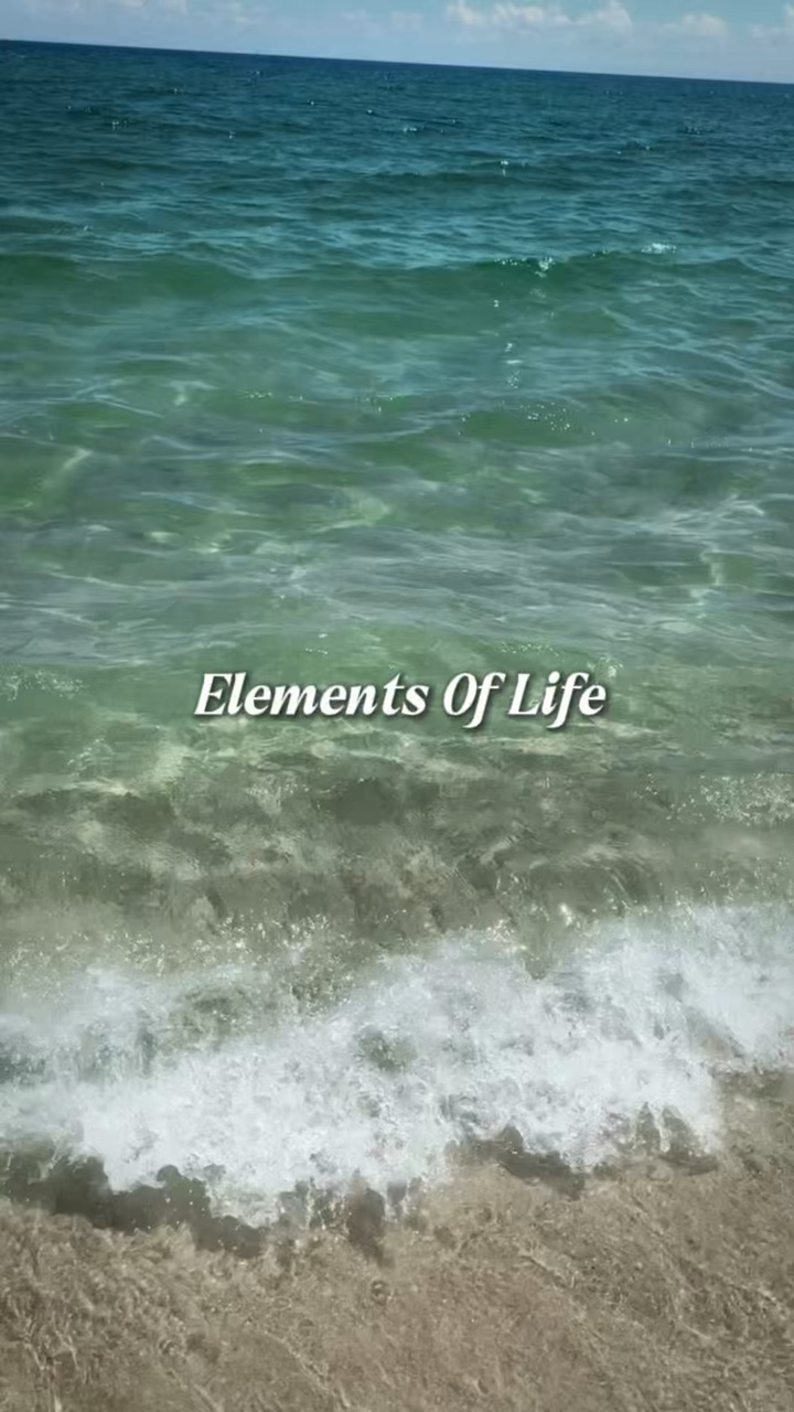Elements Of Life 