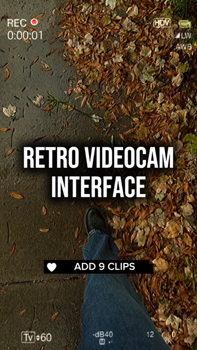 VHS interface 