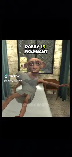 DOBBY IS WHAT??? 