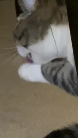Likesugaronmytounge