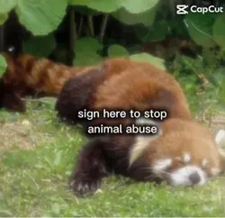 Sign here