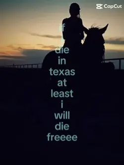 wish i can make this