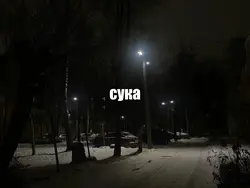 V nei