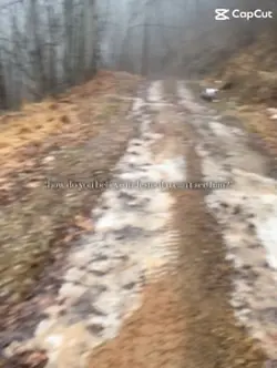 Jesus is Alive❤️✝️