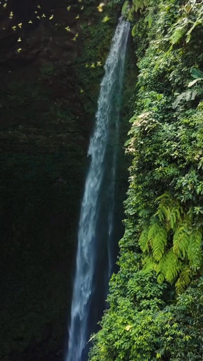 Mini vlog 