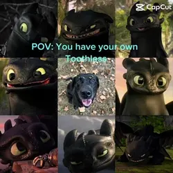 Toothles