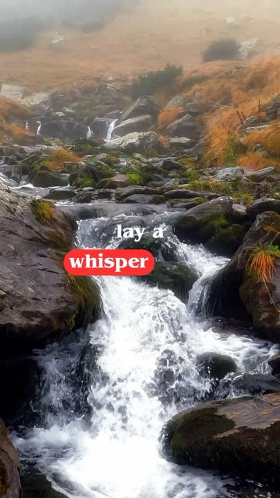 UN WHISPER 