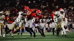 GA BULLDOGS