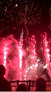 Bonne année 