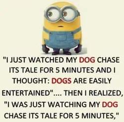 Minion Template 