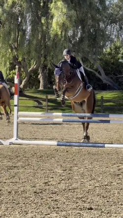 Holy quality🤩FAKE⚠️