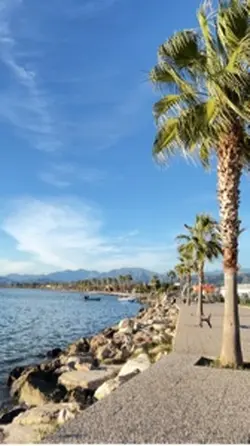 Beaches