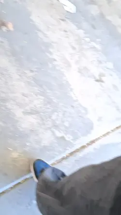 rate my slap shot