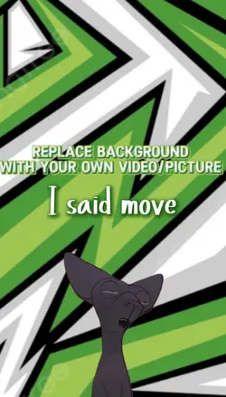 I said move cat
