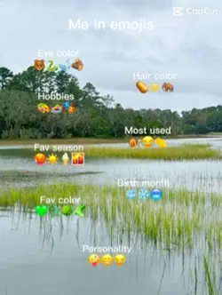 Me in emoji 