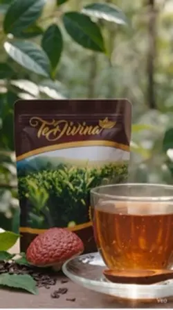 Te con Ganoderma 