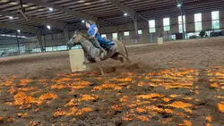 Gorg run of Stormy!!