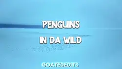 Penguin edit