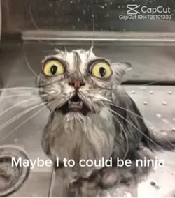 I want to be ninja