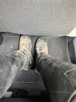 Caffeine and a dream